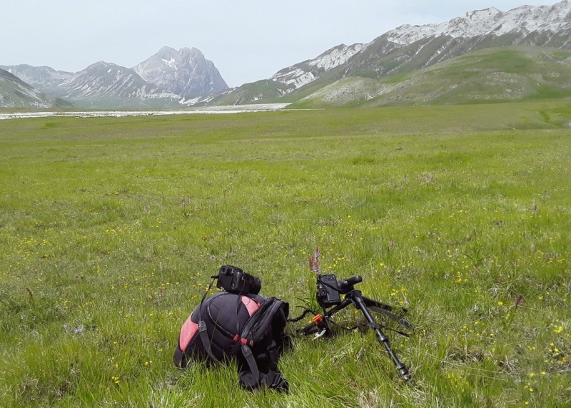 Campo Imperatore, laltopiano e le orchidee  19 giugno 2021.